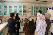 مدرسه تابستانه بین المللی طب ایرانی در دانشکده طب ایرانی برگزار شد