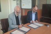 امضای تفاهمنامه همکاری دانشکده طب ایرانی و معاونت تحقیقات و فناوری دانشگاه با هدف راهاندازی «سرای نوآوری و فناوری حکمت»