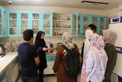 مدرسه تابستانه بین المللی طب ایرانی  